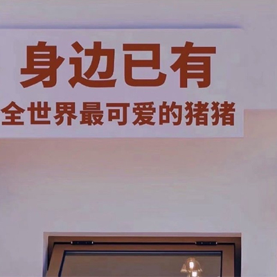 哈尔滨宠物美容知识
